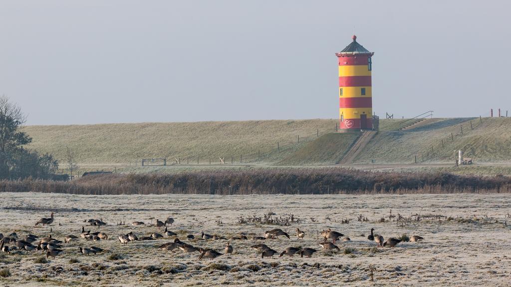 Naturwert Hotel Garni Ursula Krummhörn Zewnętrze zdjęcie